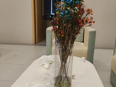 -上海大学附属上海和平眼科医院