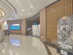 -SFC上影百联影城(川沙IMAX店)