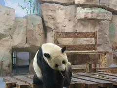 -无锡动物园·太湖欢乐园