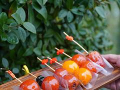 -云里小坐·小院里·团建·宴请·下午茶(三圣乡店)
