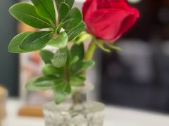 -水上明月·湖景餐厅