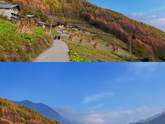 -卧龙自然保护区
