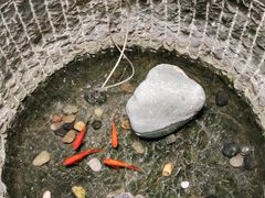 -福茂源横山铁锅羊肉(牡丹园店)