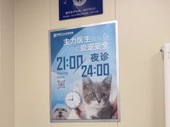 -美联众合爱康动物医院•复杂内科•肿瘤科•牙科•腔镜诊疗中心