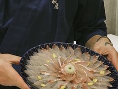 歌丽鱼-久村和居