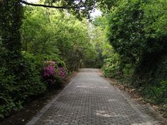 -宝岩生态观光园