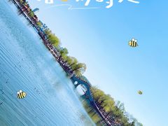 -长春市南湖公园