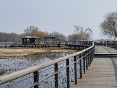 -苏州太湖湖滨国家湿地公园