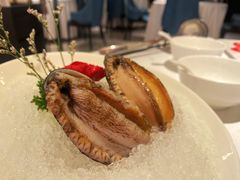 六头鲍鱼-红雀围·海鲜火锅(陆家嘴中心店)