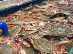 -一方渔歌蒸汽海鲜自助(文化路万达广场店)