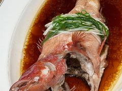 -新光酒家·河豚·海鲜·蟹料理(浦东店)