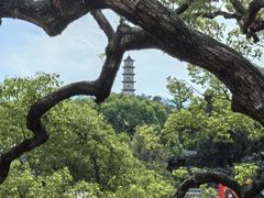 -江心屿景区