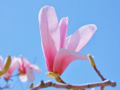 -北京明城墙遗址公园