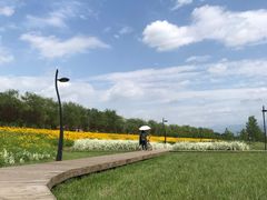-洨河生态公园