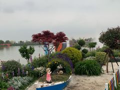 -荷兰花海