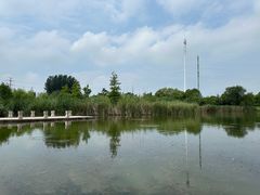-九里湖国家湿地公园
