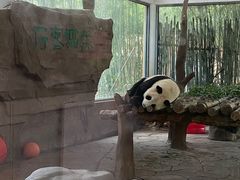 -宁波野生动物园