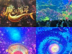 -海合安天津极地海洋公园