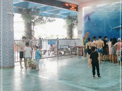 -黄金海岸水上乐园