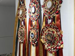 -青奢宠物·青奢猫舍