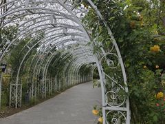 -东平国家森林公园