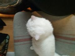 -唛客疯量贩式KTV(金飞达广场店)