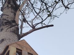 -趣多多宠物公园·宠物训犬学校·宠物寄养