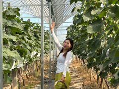 -马陆小张葡萄园农家乐