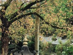 -国恩寺