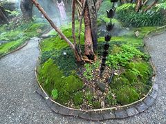 -Chom Cafe and Restaurant