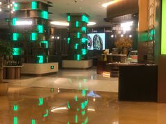 -国家会议中心大酒店