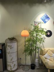 -变美丽半永久纹眉连锁·机器野生眉•洗眉