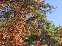 -帽儿山国家森林公园