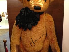 -济州岛泰迪熊博物馆