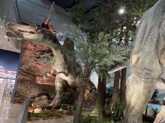 -湖南省地质博物馆