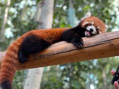 -北京野生动物园