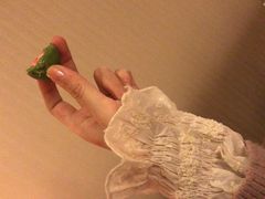 -北京丽亭华苑酒店