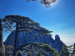 -黄山风景区