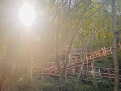 -大岭沟猕猴桃谷风景区