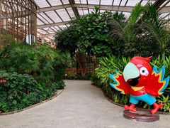 -南宫五洲植物乐园