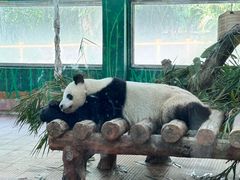 -广州动物园