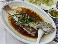 清蒸马头鱼-新享乐海鲜(翠华路店)