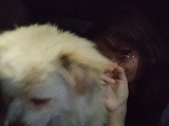 -芭比堂爱心动物医院(柯桥康爱分院)