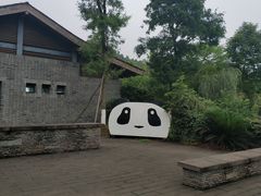 -都江堰中华大熊猫苑