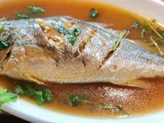 -前海沿·青岛菜(大拇指广场石老人店)