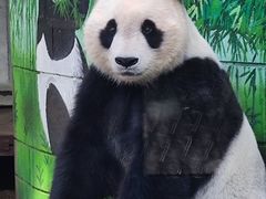 -天津市动物园