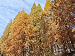 -东坡赤壁风景名胜区