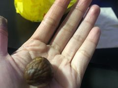 -好好栗子店(海宁总店)