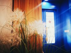 -OZ cafe(南昌路店)