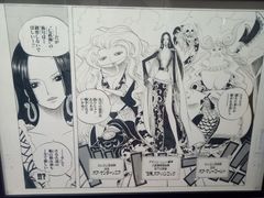 -东京塔海贼王主题公园